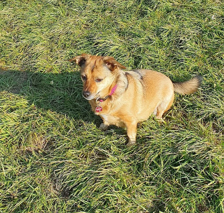 Tierarztpraxis Dr. Katja Berghaus