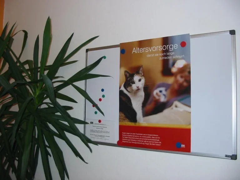 Tierarztpraxis Dr. Kristine Hucke