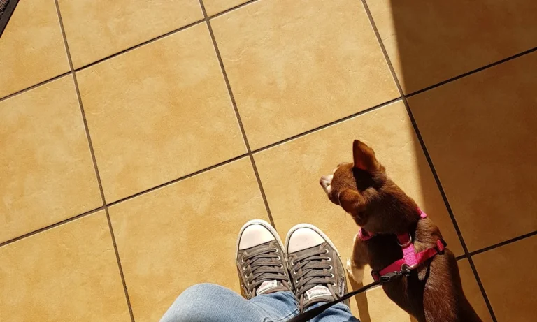 Tierarztpraxis Dr. med. vet. Karl-Heinz Nowak