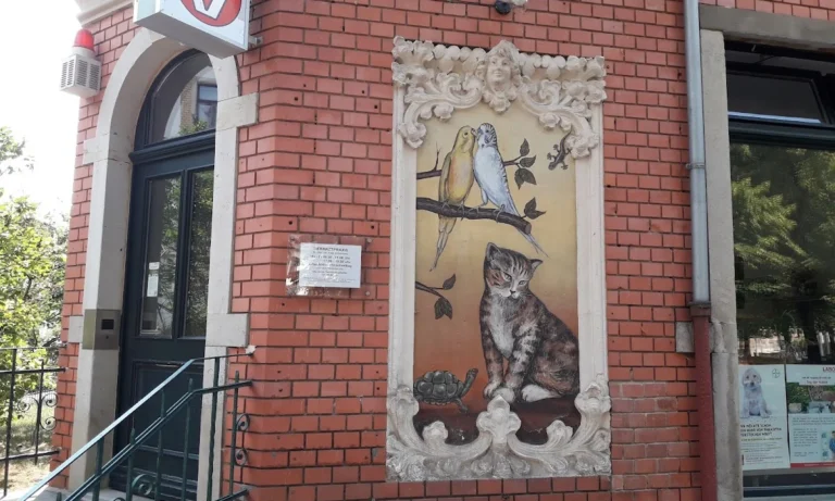 Tierarztpraxis - Dr. med. vet. Katja Stolzenberg