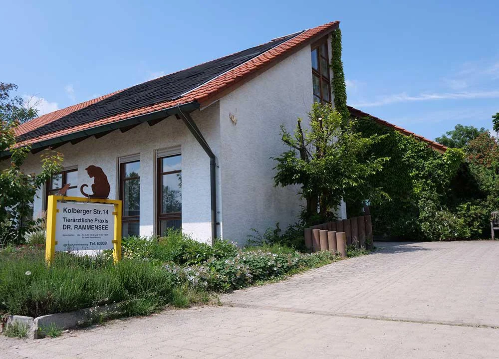 Tierarzt Tierarztpraxis Dr. med. vet. Martin Rammensee Straubing