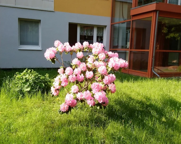 Tierarztpraxis Dr.med.vet. Nicola Rückert