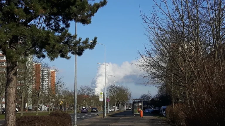 Tierarztpraxis Dr.med.vet. Nicola Rückert