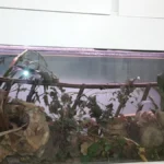 Tierarztpraxis Dr. Michels-Rosbach