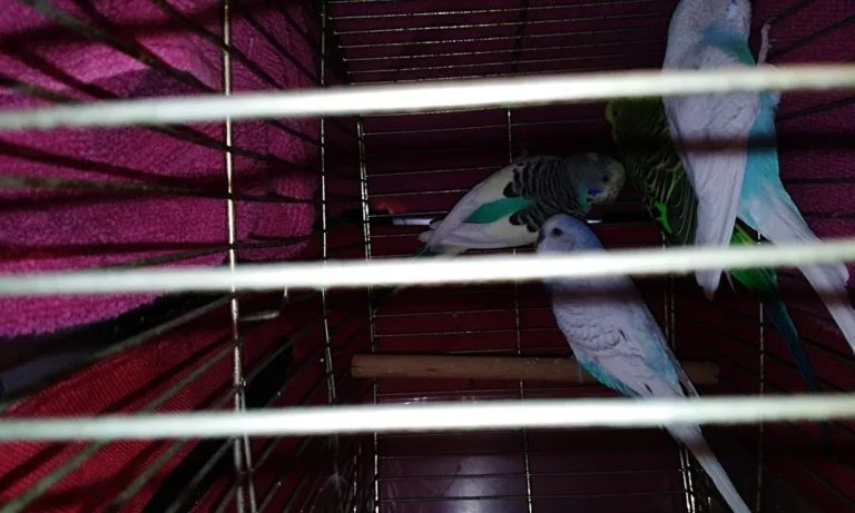 Tierarztpraxis Dr. Möhrke Dr. Rösch