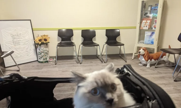 Tierarztpraxis Dr. Most