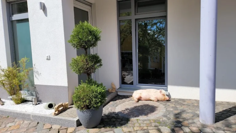 Tierarztpraxis Dr.Niels Mensing