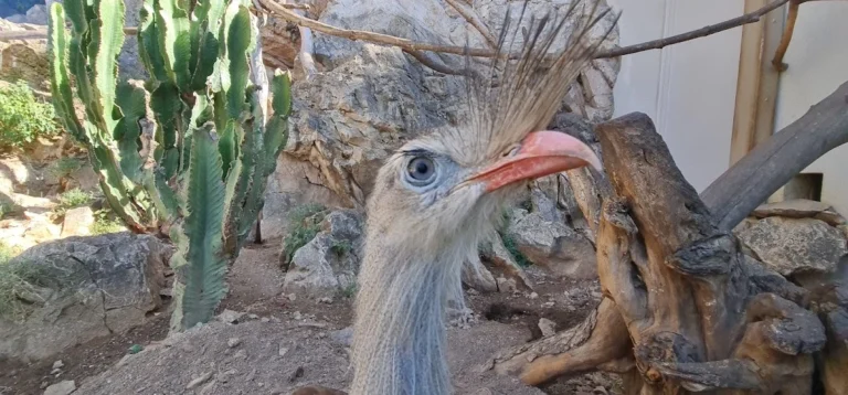 Tierarztpraxis Dr.Niels Mensing