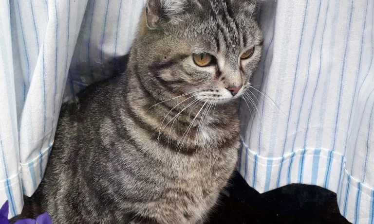Tierarztpraxis Dr. Norbert Paulus