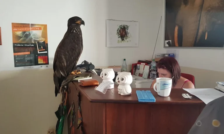 Tierarztpraxis Dr. Sascha Schütz