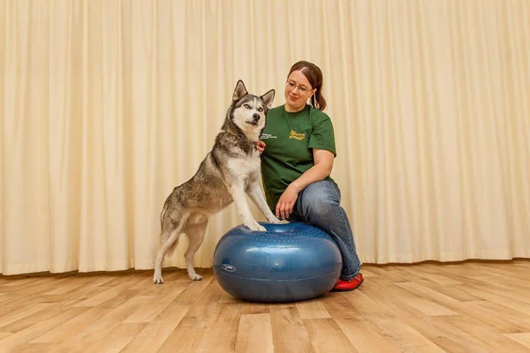 Tierarztpraxis Dr. Schwarz Deutsches Dorf 47, 14776 Brandenburg