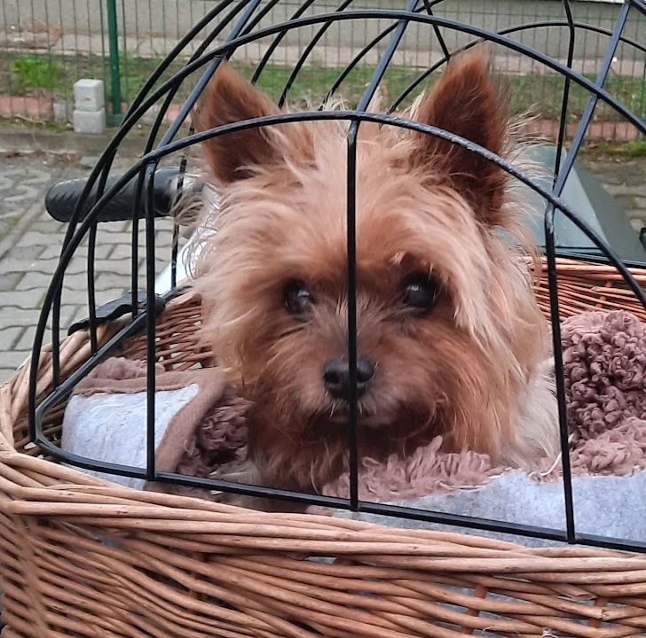 Tierarztpraxis Dr. Schwarz Deutsches Dorf 47, 14776 Brandenburg