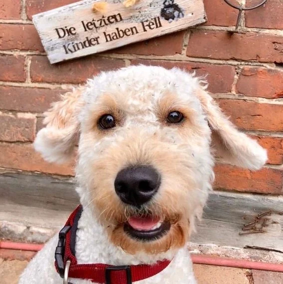 Tierarztpraxis Dr. Schwarz Deutsches Dorf 47, 14776 Brandenburg