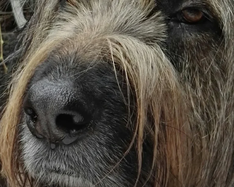 Tierarztpraxis Dr. Ulrike Behrendt