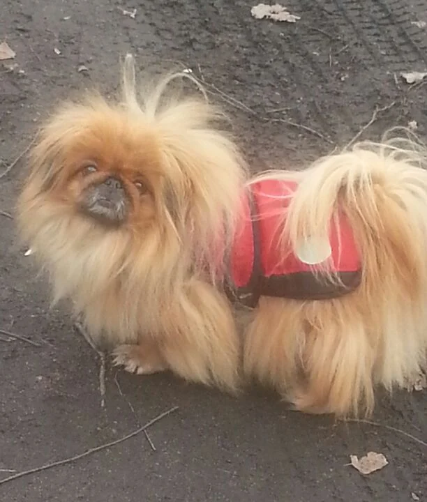 Tierarztpraxis Dr. von Manteuffel GmbH