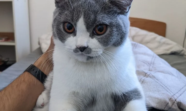 Tierarztpraxis Dres. med. vet. Andreas & Kerstin Richter