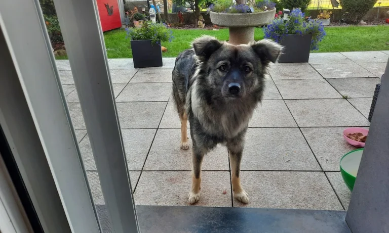 Tierarztpraxis Dres. med. vet. Andreas & Kerstin Richter