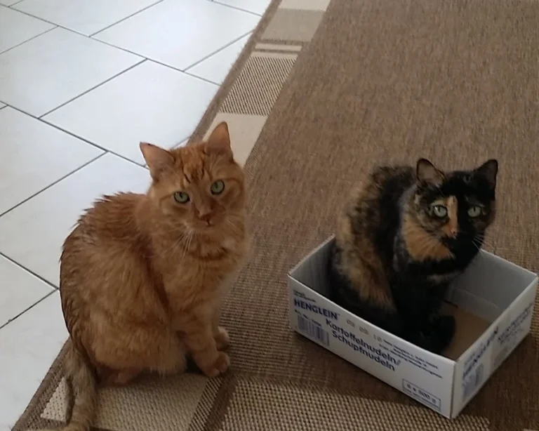 Tierarztpraxis Dres. med. vet. Andreas & Kerstin Richter