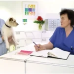 Tierarztpraxis Dres. Selzer GmbH