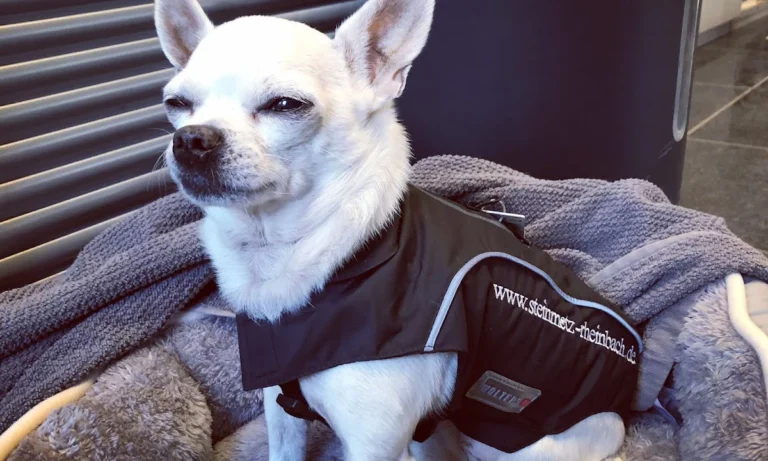 Tierarztpraxis Dres. Selzer GmbH