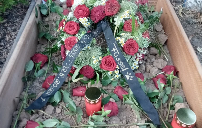 Tierarztpraxis Dres. Selzer GmbH