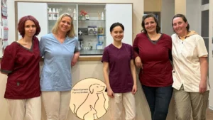 Tierarztpraxis Farina Kräker