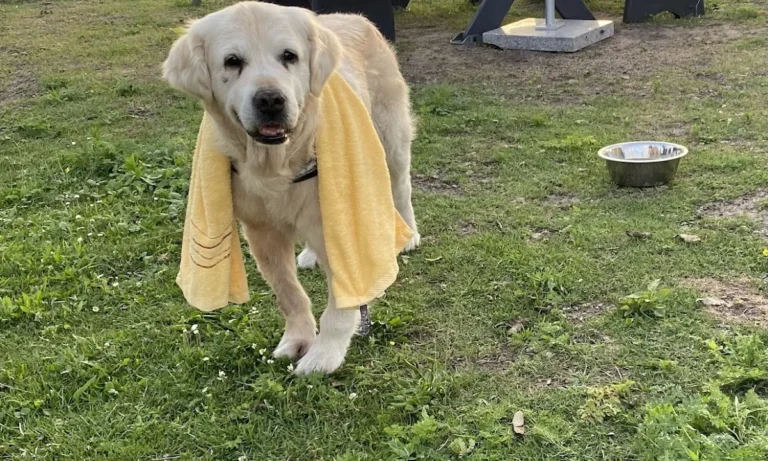 Tierarztpraxis Farina Kräker