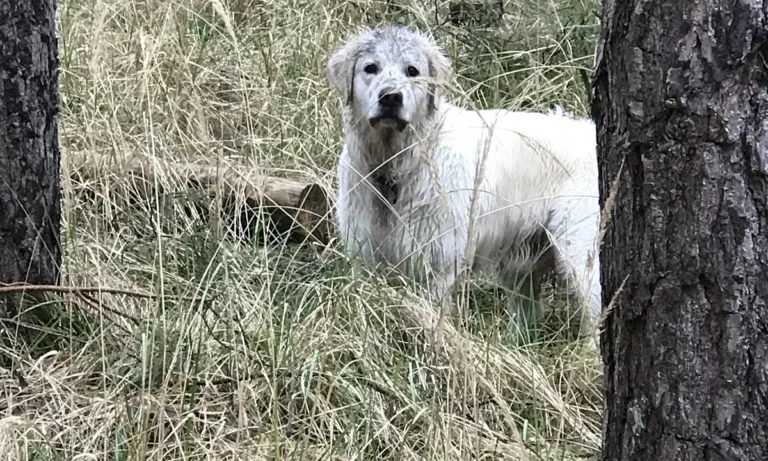 Tierarztpraxis Farina Kräker