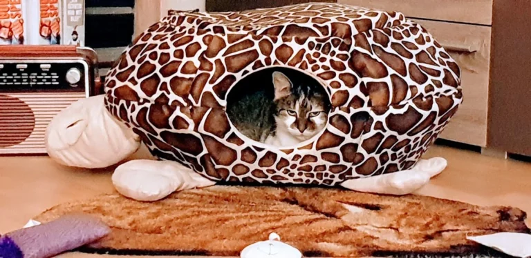 Tierarztpraxis Frank Nitschke