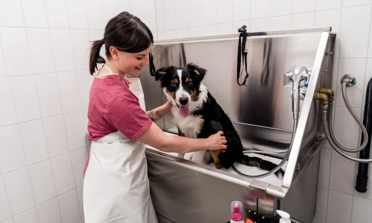 Tierarztpraxis Fraunhofer Memmingen | Haustierärztin Christine Frieß