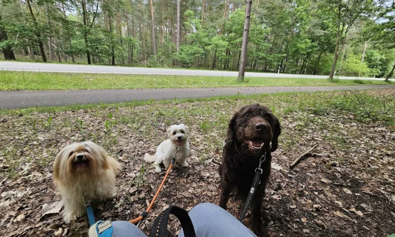 Tierarztpraxis Frese