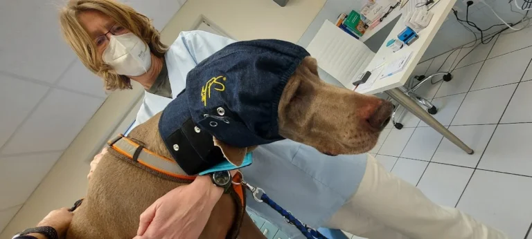 Tierarztpraxis Frese