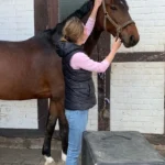 Tierarztpraxis für Chiropraktik und Akupunktur - Dr. Pia Fraté