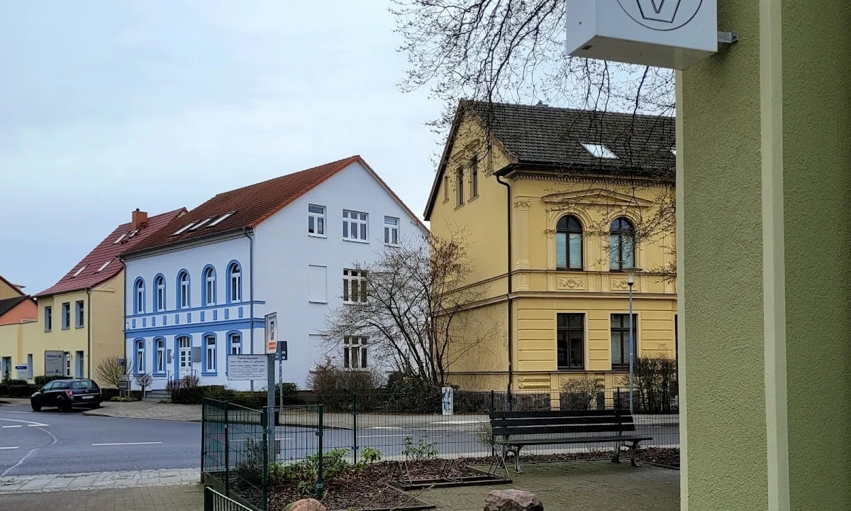 Tierarzt Tierarztpraxis für Kleintiere Dipl.-Vet.-Med. Andrea Lehmann Neubrandenburg