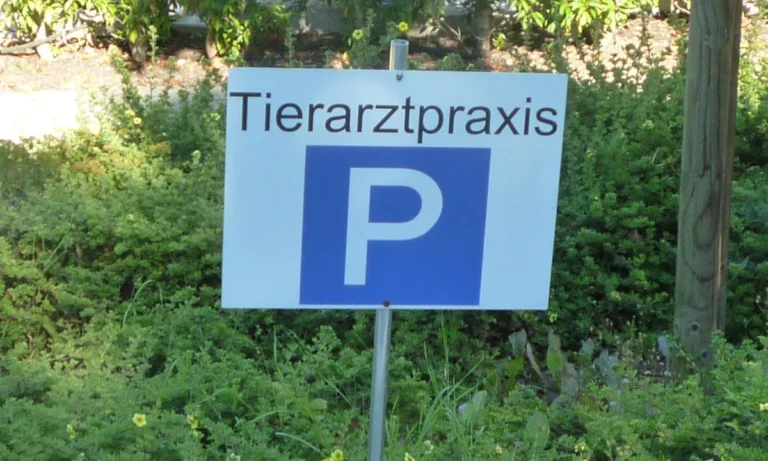 Tierarztpraxis für Kleintiere und Pferde