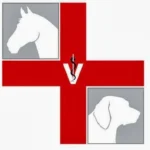 Tierarztpraxis für Kleintiere und Pferde