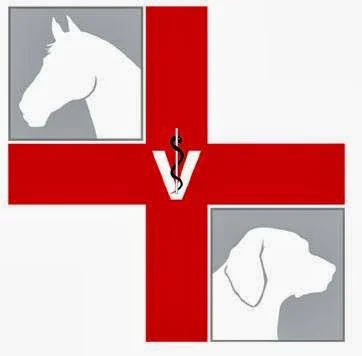 Tierarzt Tierarztpraxis für Kleintiere und Pferde Tübingen