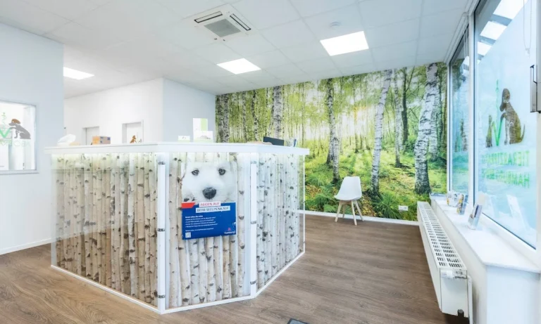 Tierarztpraxis Hamburg Berne - Tierärztin Linda Brüggemann