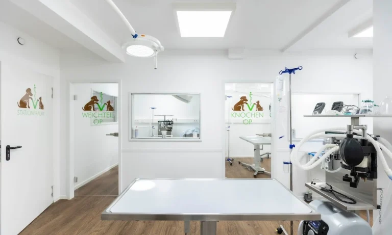 Tierarztpraxis Hamburg Berne - Tierärztin Linda Brüggemann