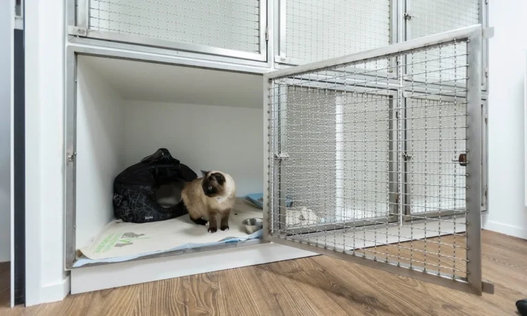 Tierarztpraxis Hamburg Berne - Tierärztin Linda Brüggemann