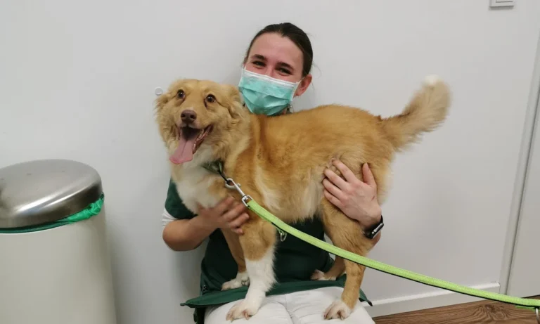 Tierarztpraxis Hamburg Berne - Tierärztin Linda Brüggemann