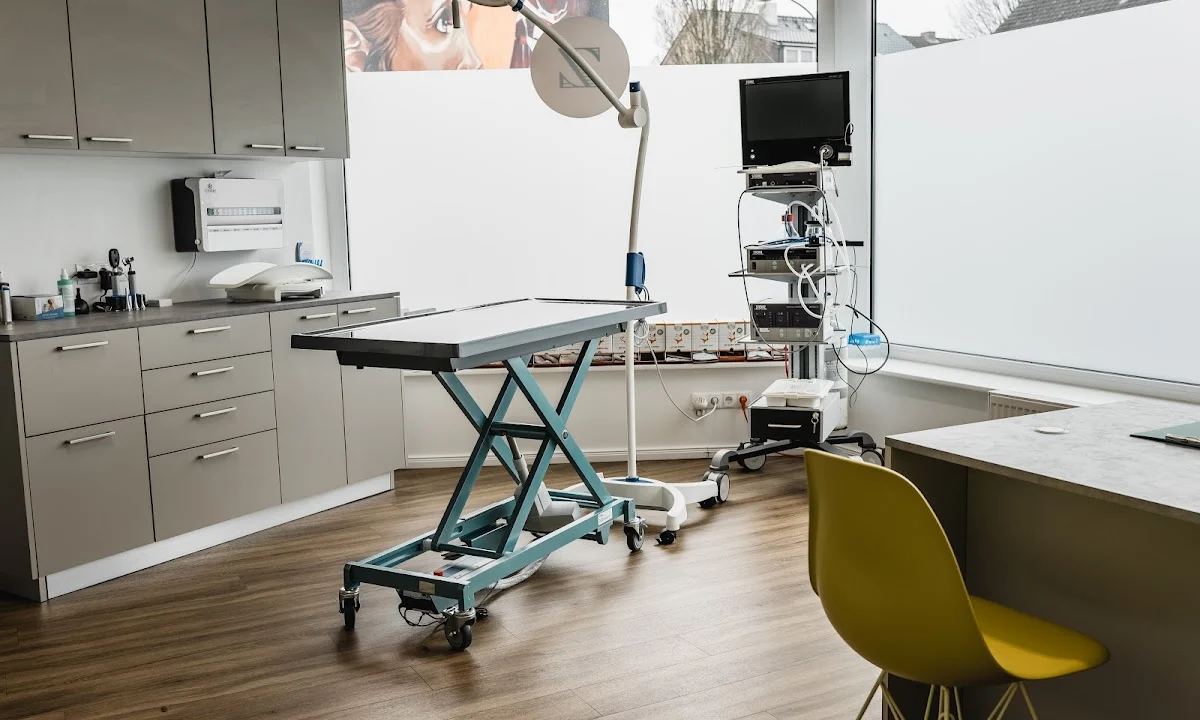 Tierarzt Tierarztpraxis Hamburg-Bramfeld, DVM MSc. Gregor Zschoch Hamburg