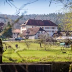 Tierarztpraxis Hannemann, Fachpraxis für Schafe, Ziegen, Lamas und Alpakas