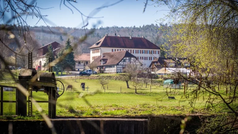 Tierarztpraxis Hannemann, Fachpraxis für Schafe, Ziegen, Lamas und Alpakas
