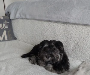 Tierarztpraxis Hassel