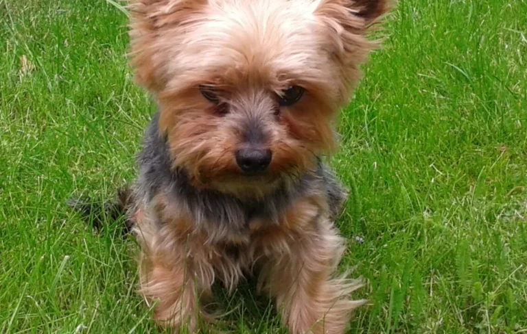 Tierarztpraxis Hauff