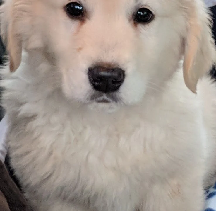 Tierarztpraxis Hauff