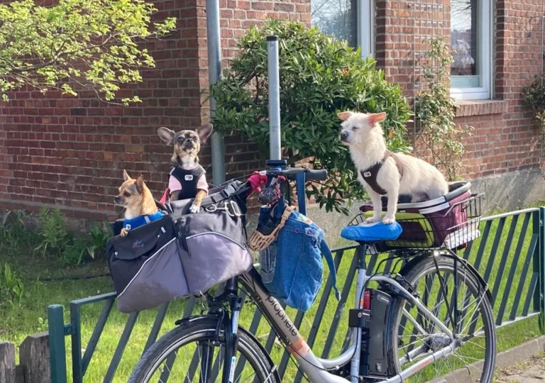 Tierarztpraxis Hauff