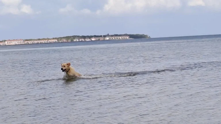 Tierarztpraxis Hauff