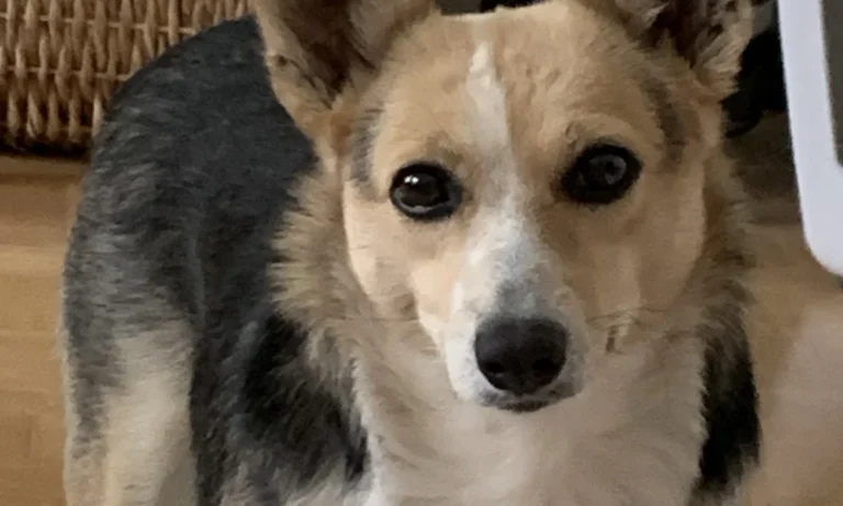 Tierarztpraxis Hauff